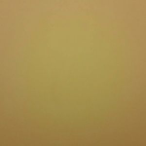 Meet your Posher, Assata